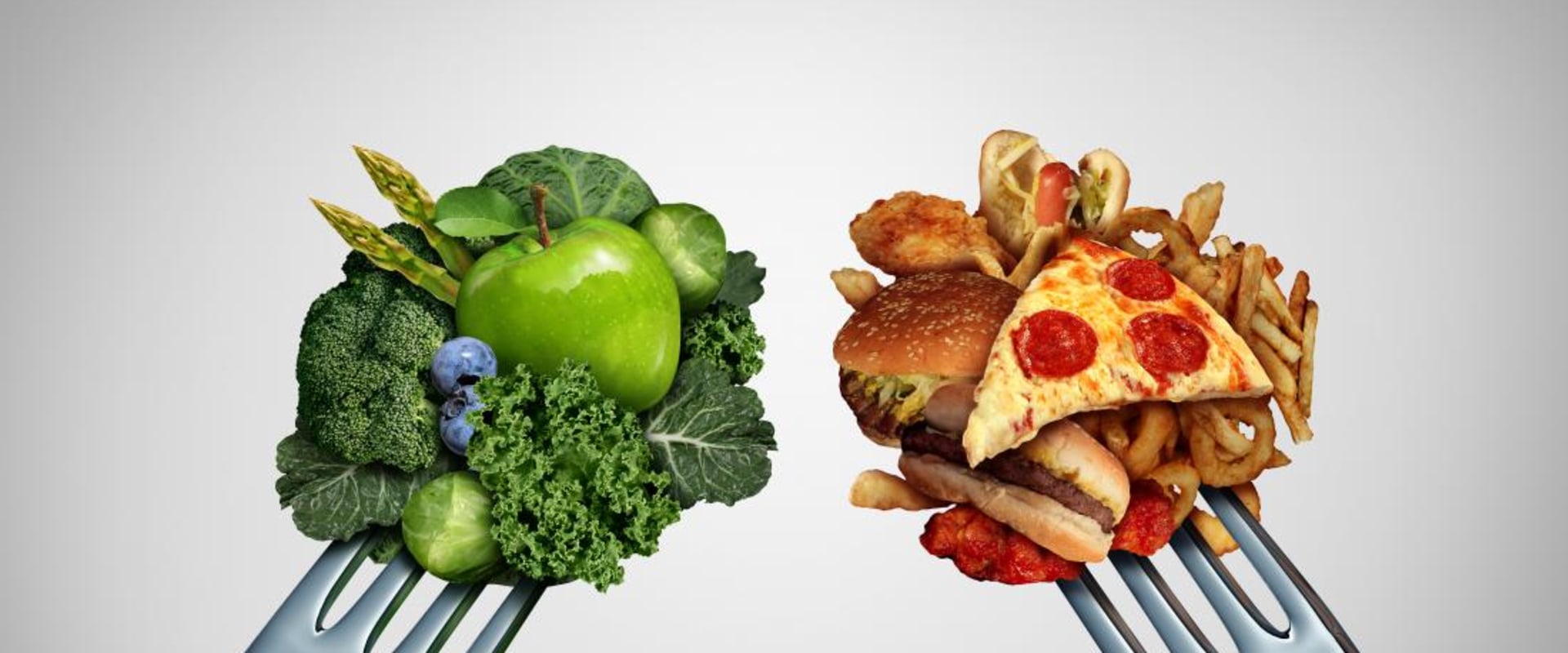 Calculate Your Calorie Needs Based on Age, Gender, and Activity Level
